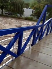Alerta en La Guaira: inundaciones y desbordamientos de ríos por lluvias
