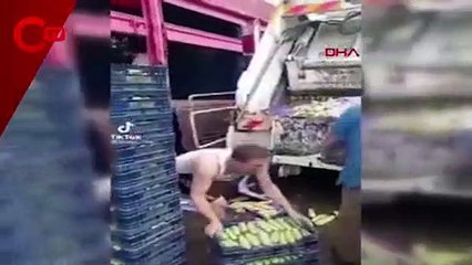 Kasalarca sebzeyi çöpe attı, soruşturma başlatıldı