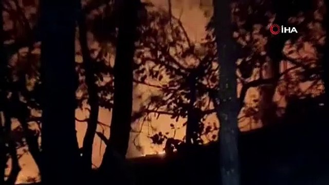 Bursa’da yıldırım düştü, ormanlık alanda yangın çıktı