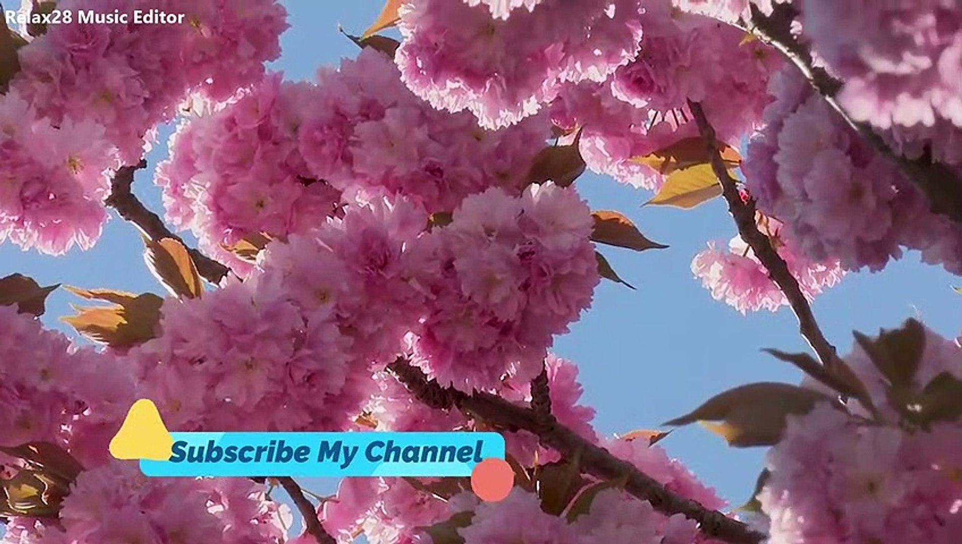 ⁣Beautiful Spring Flowers, With birds sounds trees dressed in pink blossoms,