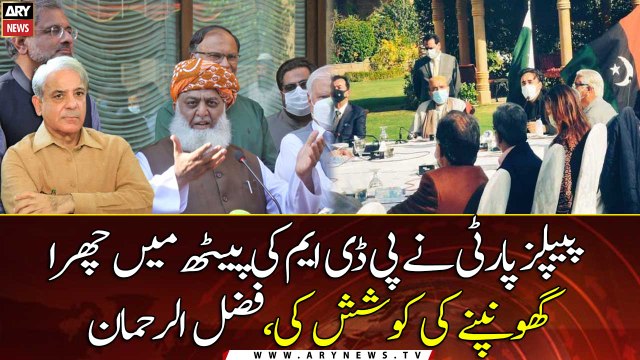 PPP stabbed us in the back: PDM chief