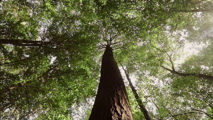 Des formations pour la restauration de la Nature