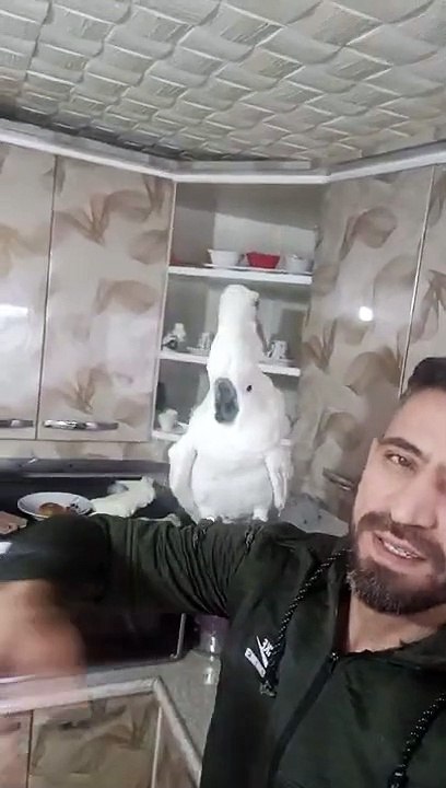 canavar bulut