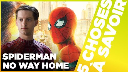 UN TRAILER QUI AGITE LA TOILE ! - 5 Choses à Savoir sur le trailer de Spider-Man : No Way Home
