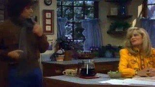 The Facts of Life S09E07 The More the Merrier