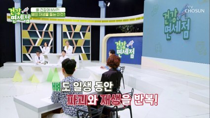 뼈 건강과 뼈 재생을 돕는 『MBP』 TV CHOSUN 20210829 방송