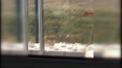 TUZLA'DA EŞEĞE CİNSEL İSTİSMARDA BULUNMAK İSTEDİĞİ İDDİA EDİLEN ŞOFÖR DARBEDİLDİ