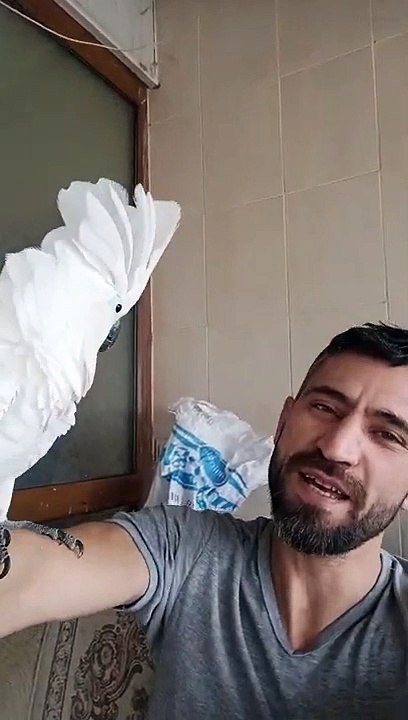 canavar bulut