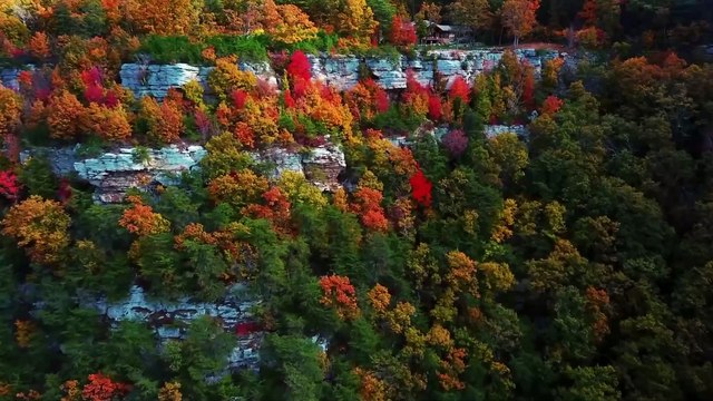 5 Minutes Piano Music- Instrumental Background Music Relaxing Piano Music (3)