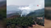 2 helikopter ve 1 uçağın müdahale ettiği Tunceli’deki orman yangınının yüzde 95’i söndürüldü