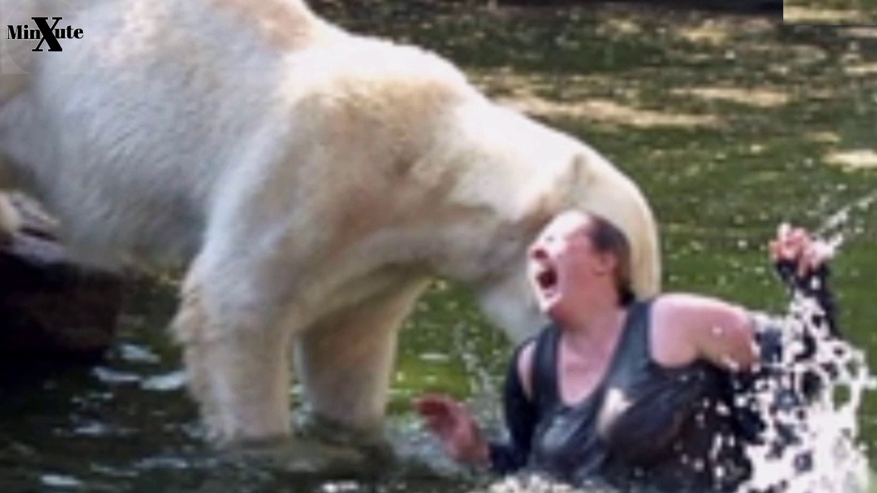 أمراءة تسقط فى قفص الدب القطبي مشهد يحبس الانفاس