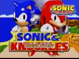 Sonic Mega Collection online multiplayer - ngc