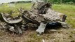 تحقيقات الكوارث الجوية- تقرير خاص- الموت الليلي- الطائرة الاثيوبية التي سقطت في لبنان