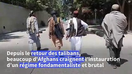 Un photographe afghan sonne l'alarme sur la menace que représentent les talibans pour les médias