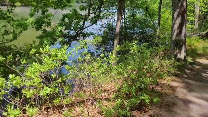 Roger Williams Park Metal Detecting II