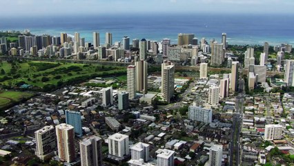 Doogie Kameāloha, M.D. - Tráiler oficial Disney+