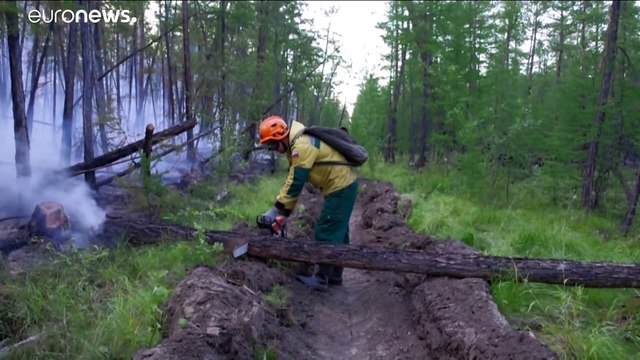 Площадь лесных пожаров в России за сутки сократилась на четверть