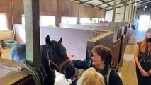 Vera actress Brenda Blethyn meeting Alfie the horse at the Washington Riding Centre