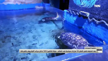 بعد تصنيفه ضمن أفضل 10 مزارات سياحية في العالم جولة لكاميرا TeN داخل جراند أكواريوم بالغردقة