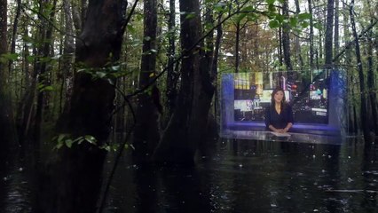 On These Grounds Trailer #1 (2021) Documentary Movie HD