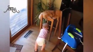 Try not to laugh challenge best video baby funny 2021