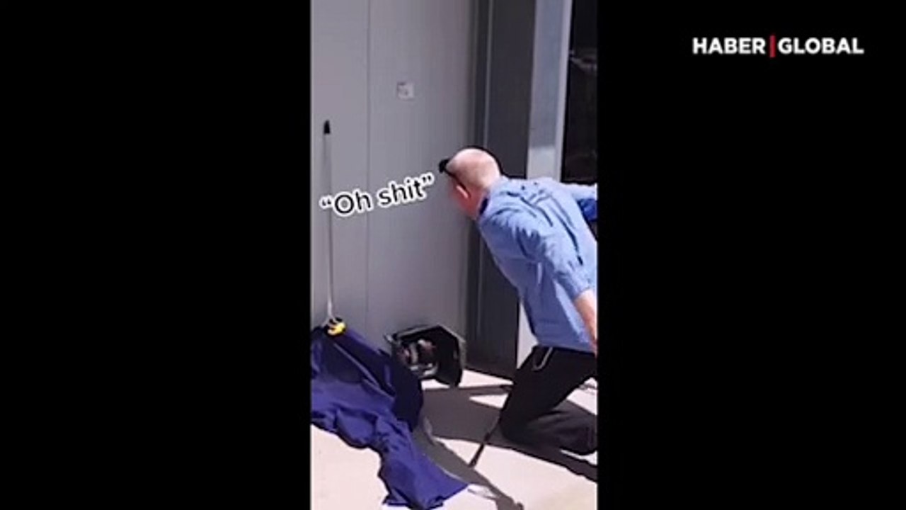 Yılan avcısı az daha av oluyordu! Kırmızı karınlı zehirli yılan yüzüne saldırdı