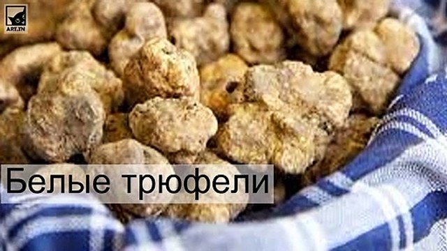 Самая дорогая еда в мире