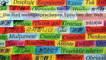 Die fünf meistgesprochenen Sprachen der Welt