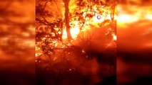 Bingöl’de bir bölgedeki yangın söndürüldü, diğer yangına müdahale sürüyor