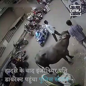 Buffalo Hits Bike Rider In Pune, FIR Registered Against Owner