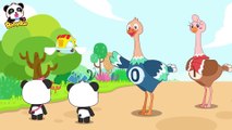 Baby Panda is Attacked by Ostrich | Learn Numbers | Math Kingdom Adventure 4 | Kids Cartoon |BabyBus