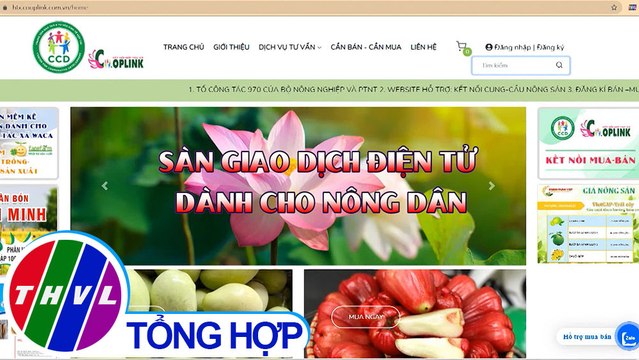 Nông nghiệp bền vững: Sàn giao dịch điện tử dành cho nông dân