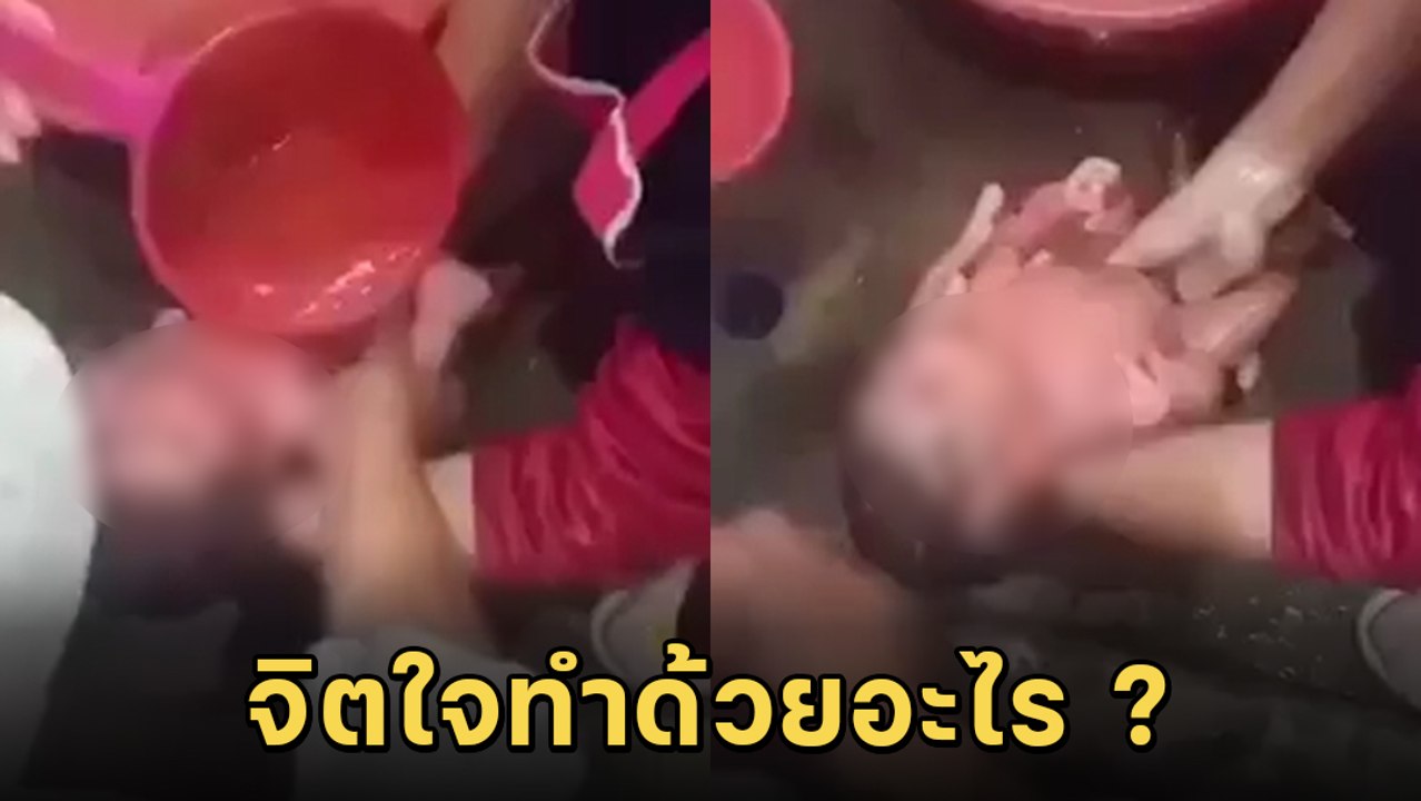 สะเทือนใจ ! แม่ใจยักษ์ ทิ้งลูกแรกเกิดในป่า มดรุมกัดเต็มตัว ร้องแทบสิ้นลม