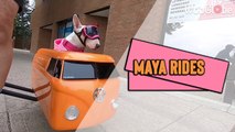 'Cute Bull Terrier Enjoying a Bike Ride in her Sidecar'