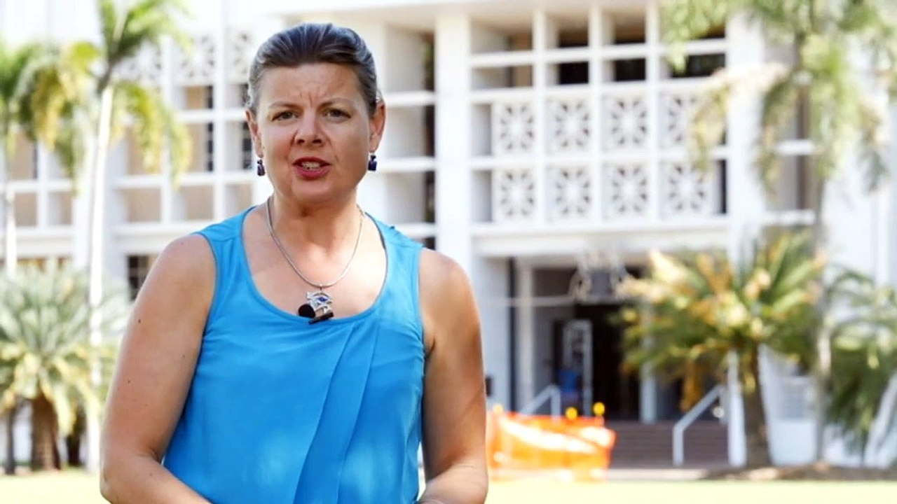 NT govt reduced funding for independent mine monitoring