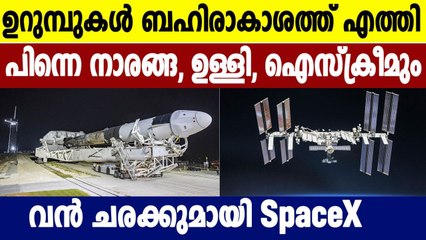 SpaceX launches ants, avocados, robot to space station | Oneindia Malayalam