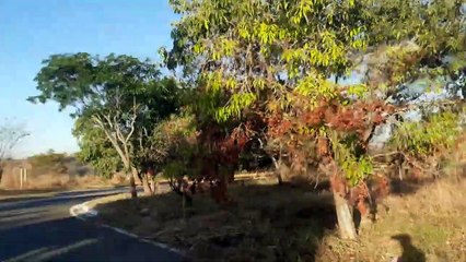 O que é DIVISOR DE ÁGUAS? Aprenda o real conceito dessa questão na BR354 em Rio Paranaíba/MG