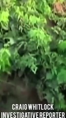 US lies about Afghan War - The Afghanistan Papers?