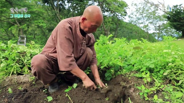 한국기행 - Korea travel_그 여름의 산사 1부- 소소하게 고요하게_#001