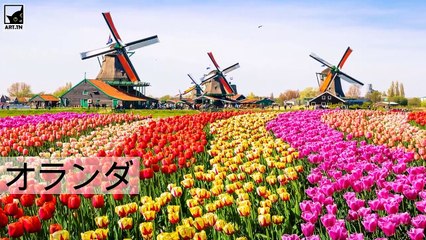 世界で一番幸せな国5カ国