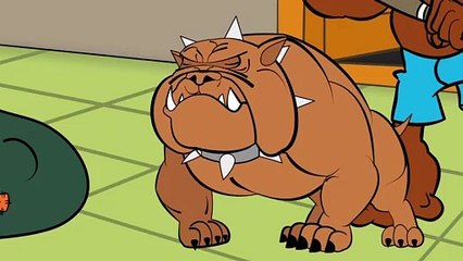 5 Videos droles juste pour rire   La blague du jour   Compilation