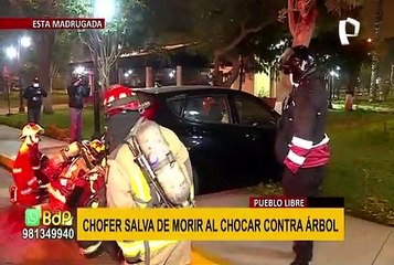 Pueblo libre: conductor choca contra árbol de un parque