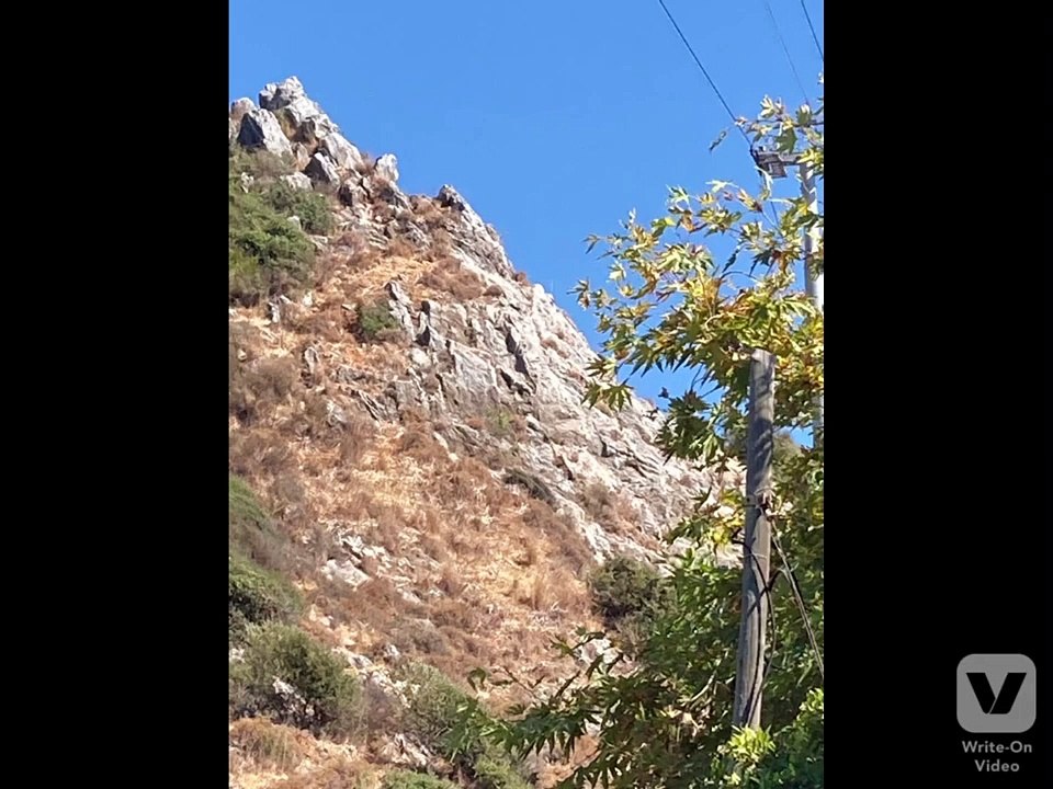 konya alanya gezisi #mevlana türbesi ,#dini ve tarihi yerler, ve alanya gezileri #2021,