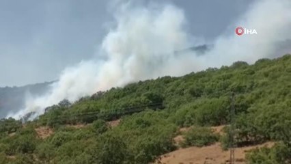 Son dakika haberleri! Bingöl'deki orman yangını devam ediyor