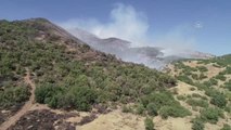 Ormanlık alanda çıkan yangına müdahale ediliyor (2)
