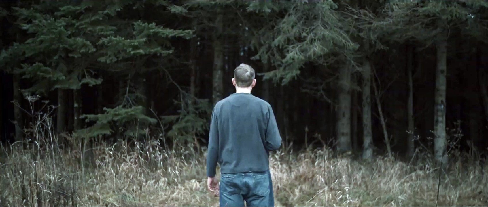 Ash & Dust Trailer
