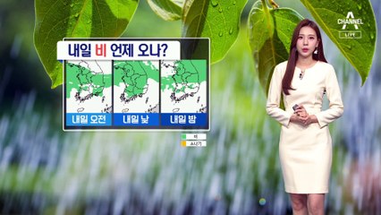[날씨]내일 곳곳 폭포수 같은 비…충청 250mm 이상