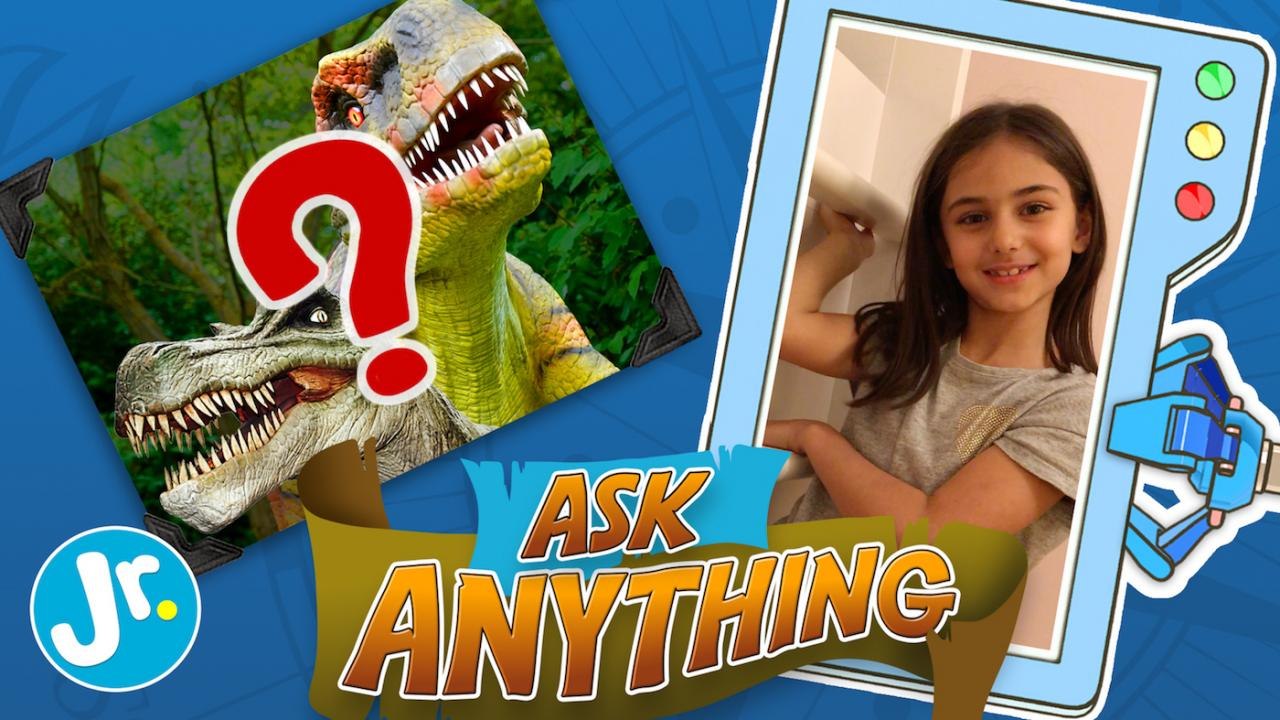 What Happened To The Dinosaurs? - Ask Anything