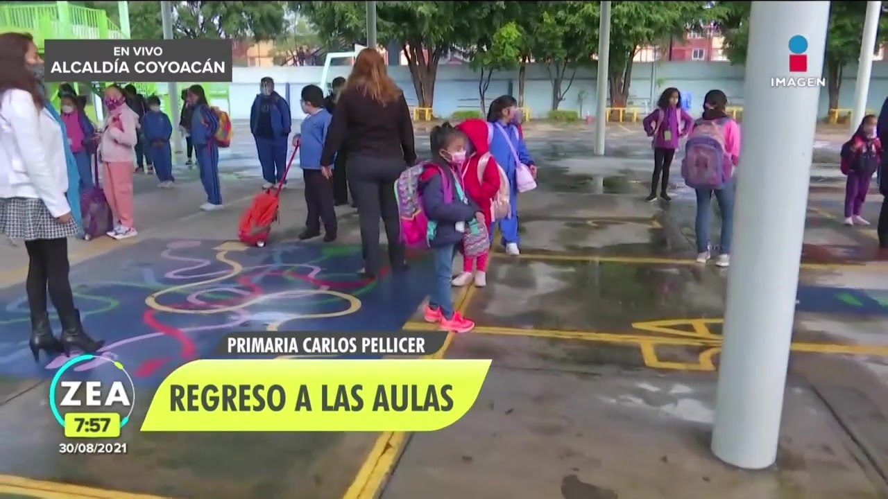 Regreso a clases: así se organiza la Primaria Carlos Pellicer en Coyoacán
