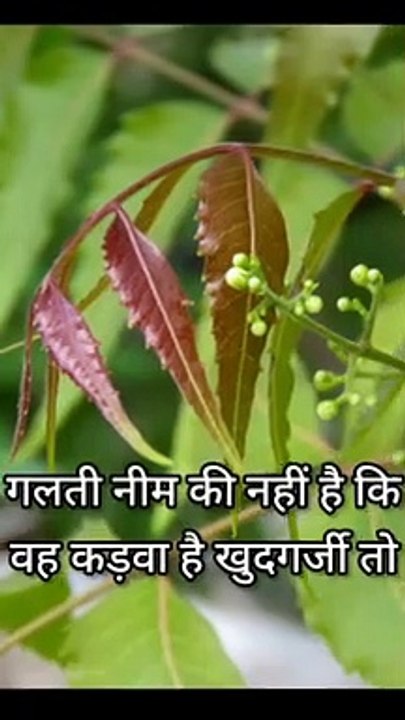 अपने हालातो पर कभी मत रोना  || you can do everything || Motivational Quotes #shorts #motivation